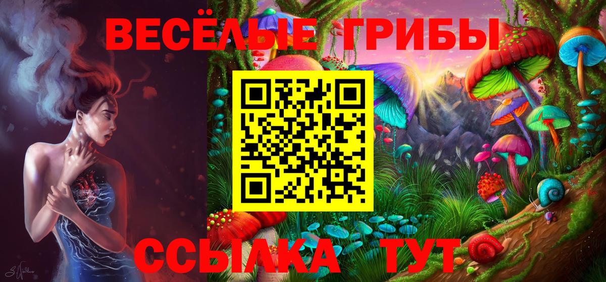Галлюциногенные грибы мухоморы  Галлюциногенные грибы Psilocybine cubensis  Вход с VPN  Пугачёв 