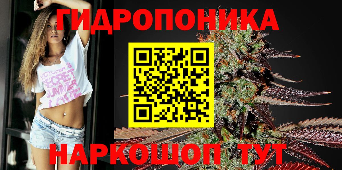 Канабис конопля  Шишки марихуана планчик  Вход с VPN  Шишки марихуана конопля  Пугачёв 